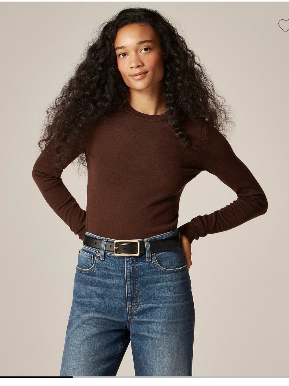 J. Crew Chocolate Brown Long-Sleeve Crewneck Top